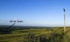 view from Coombe Gibbet.jpg