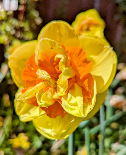 C7pB7XLXkAE98se.jpg:large